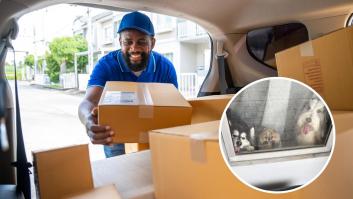 El repartidor que durante 3 años fotografió a los perros de una clienta en cada entrega les dedicó su último día de trabajo: "Verles en la puerta siempre me alegraba los días más largos