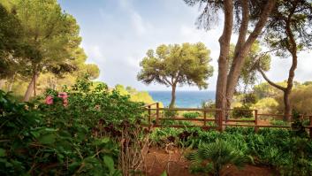 Alfonso Pérez-Ventana, paisajista de Ibiza: "En España tenemos más variedad de plantas que en Inglaterra, el problema es que no las usábamos bien"