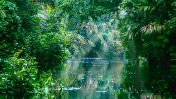 Una imagen de Costa Rica.