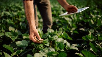 Marta Rivera, doctora en agroecología: "A la izquierda le falta darse cuenta de que el futuro está en el campo, y mientras tanto Vox capitaliza el malestar rural"