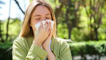 Así puedes combatir la alergia protegiendo tu casa del polen esta primavera