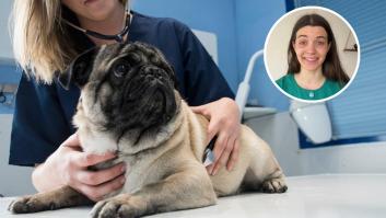 Laura Casquero, estudiante de veterinaria: "Si alguna vez llegas a identificar alguno de estos síntomas en tu mascota deja lo que estés haciendo y corre al veterinario"