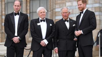 David Attenborough, el centenario naturalista y divulgador científico que logra poner de acuerdo a Carlos III y a sus hijos Guillermo y Harry
