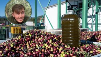El responsable de una almazara aclara por qué hay aceites de oliva que son más verdes que otros