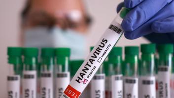 Qué países están afectados por el brote de hantavirus: dónde están los casos confirmados, los pasajeros del crucero bajo sospecha y qué se sabe de los contagios