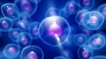 Edmund Moody, biólogo de la Universitat de Barcelona que rastrea el ancestro común de toda la vida en la Tierra: "Puede ayudarnos a preparar el entender cómo puede cambiar la vida en el futuro"