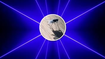 Adiós a los mosquitos: inventan un aparato que usa láser con IA para acabar con cualquier insecto dentro de casa