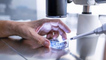 Desarrollan una IA que podría reducir entre un 30 y un 50% el número de animales en los experimentos de investigación farmacológica