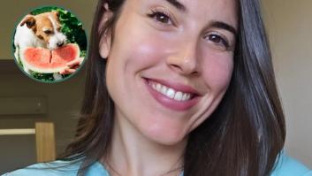 María VetiCan, veterinaria: “Tu perro realmente puede comer muchas frutas, por no decir todas, menos las uvas”