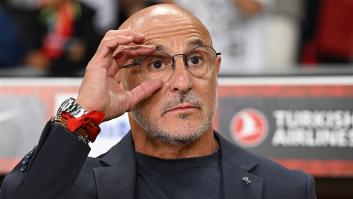 España está preparada... la convocatoria, casi: 'cracks' (y alguno que ha hecho 'crack') de la lista de De la Fuente para el Mundial