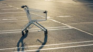 Vanessa, joven de 19 años, empuja un carrito de la compra y ahora tiene que pagar una multa de 140 euros