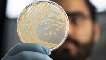 Esto también es ciencia: sacan levadura del estómago de Ötzi, la momia natural más antigua de Europa, y hacen pan con ella
