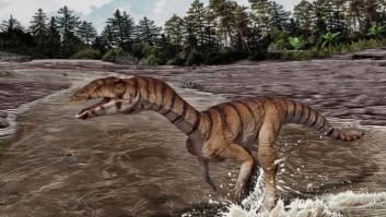 Los paleontólogos están sorprendidos: así era el "cocodrilo bruja" que andaba en Nuevo México a dos patas y sin dientes hace 200 millones de años