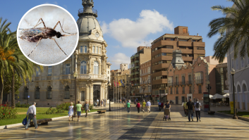 Cartagena refuerza el control de plagas con cañones robotizados tras un invierno muy lluvioso: así actúa contra mosquitos y bichos bola