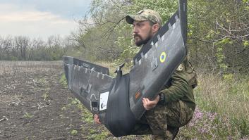 "Nido apocalíptico": así están anidando las aves de Ucrania en los cables de fibra óptica de los drones