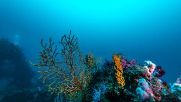 El océano profundo cubre el 66% de la Tierra, pero cartografiarlo entero al ritmo actual llevaría unos 5 millones de años