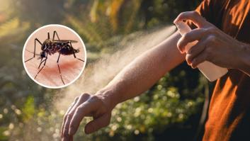 La paradoja de soltar mosquitos para acabar con los mosquitos: China lo hace con depredadores y Elche con 2,4 millones de machos estériles