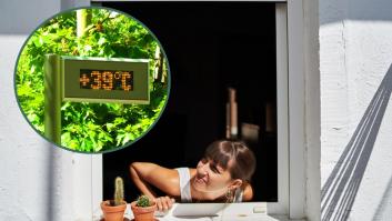 ¿Abrir las ventanas por la noche durante una ola de calor? Los expertos explican por qué eso, en realidad, calienta la casa