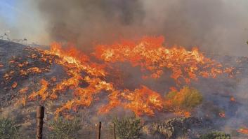 La Junta se ampara en el riesgo de "daños irreparables" para explicar por qué no activó el Es-Alert durante el incendio en Los Gallardos (Almería)