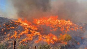 Los Gallardos irrumpe entre los incendios más graves de Andalucía por su balance humano