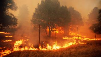 Víctor Resco, catedrático de Ingeniería Forestal: "Si un incendio quema 2.700 hectáreas, la energía que libera es equivalente a la bomba atómica de Hiroshima"