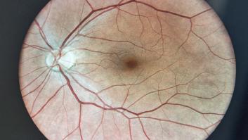 Durante más de cien años se pensó que no existía; ahora se ha encontrado un "sistema de eliminación de residuos" en la parte posterior del ojo