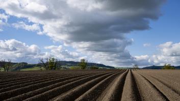 Un agricultor entierra dos calzoncillos idénticos de algodón en su granja y demuestra que el suelo sano no es el que los conserva, sino el que se los come, lo que es más positivo para los ecosistemas