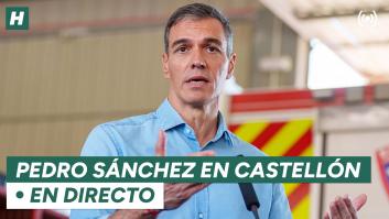 Pedro Sánchez visita las áreas afectadas de Castellón por los incendios