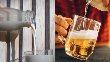 Del pienso a la 'leche': la malagueña que convierte el bagazo de la cerveza en una bebida con el triple de proteína que la avena