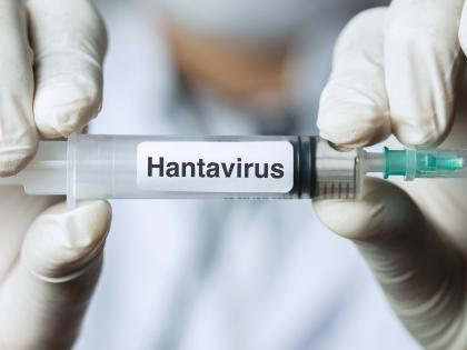 Hantavirus
