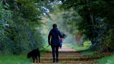 Una mujer caminando con un perro por un sendero cubierto de hojas de otoño