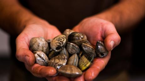 Héctor, de Gijón a la campiña inglesa: "Compré almejas aquí y la calidad es mucho peor, no es la misma"