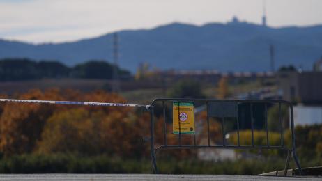 Cataluña acuerda con el sector sacrificar 30.000 cerdos sanos cerca del foco de la peste porcina