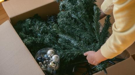 Begoña Pérez, 'La Ordenatriz', experta en limpieza: "Si tu árbol de Navidad ya tiene algún año, es hora de darle un buen baño"