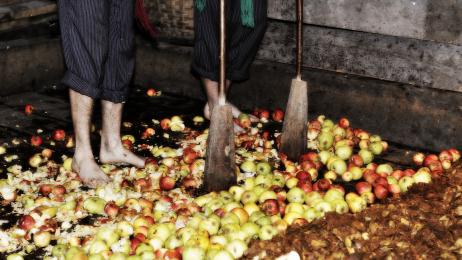 Guerra de la manzana en Bruselas: España y Francia se alían para evitar que los nórdicos llamen "sidra" a sus mezclas industriales