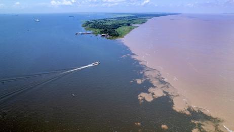 Descubren 118 especies de peces en un rincón casi intacto de la Amazonía: el río que aún guarda secretos
