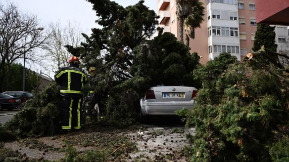 Desperfectos provocados por la borrasca Martinho en Lisboa.