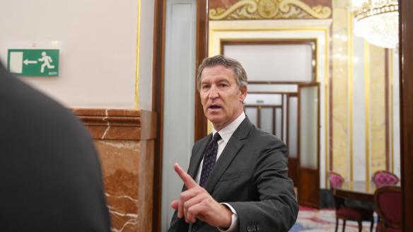 El líder del PP, Alberto Núñez Feijóo.