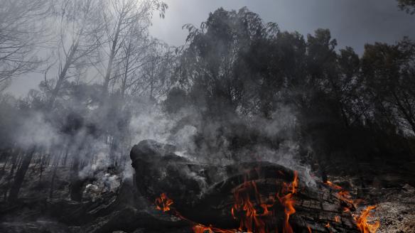 Área afectada por el incendio en un paraje forestal de la localidad navarra de Carcastillo.