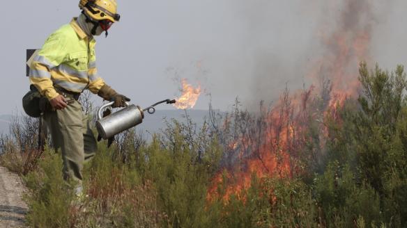 Un brigadista trabaja en las labores de extinción del incendio forestal que afectó a Puercas (Zamora), en la Sierra de la Culebra.