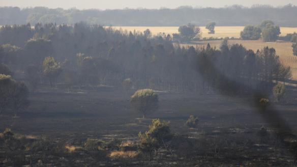 Tierra quemada en un monte entre Villalís de la Valduerna y Quintana y Congosto, tras un incendio