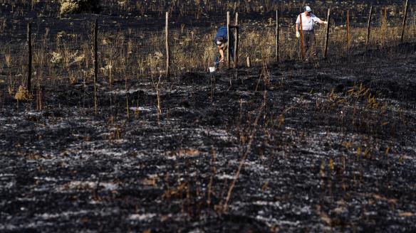 Zona quemada en las proximidades de Urraca-Miguel, barrio anexionado a 13 kilómetros de Ávila capital