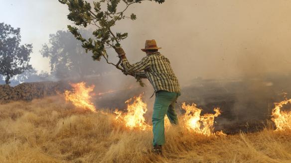 Un voluntario trabaja en la extinción del incendio forestal en las proximidades de Cipérez (Salamanca).
