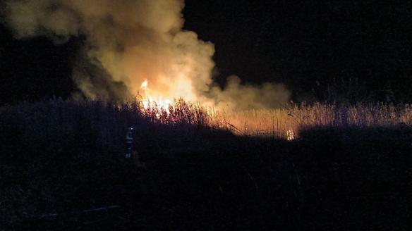 Declarado un incendio forestal en el parque natural s'Albufera (Mallorca, Baleares).