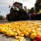 Cítricos en el suelo tras una protesta de agricultores en Murcia, en una imagen de archivo