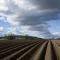 Hileras de tierras de cultivo en Herefordshire
Paisaje rural de tierras preparadas en hileras, listas para el cultivo de patatas, plantadas en un campo de tierras de cultivo.
