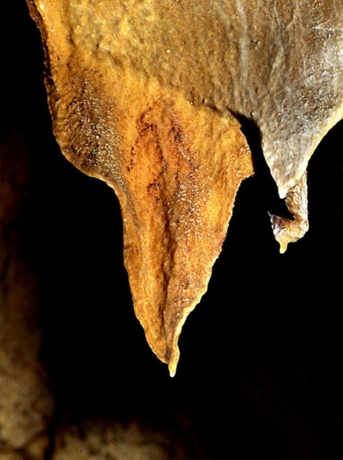 Localizan en Borneo la pintura figurativa más antigua de la humanidad