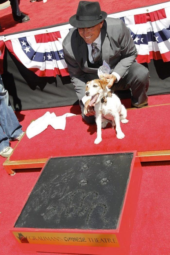 El perro Uggie se retira y deja sus huellas en el Paseo de la Fama de Hollywood (FOTOS)