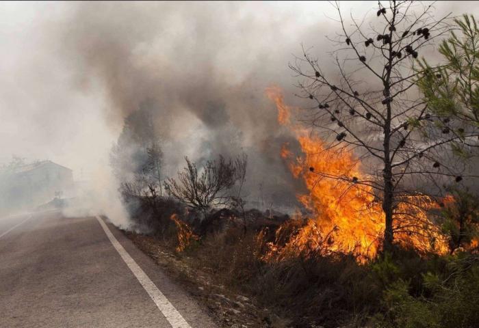 Extinguido el incendio de Cortes de Pallás, Valencia, 18 días después de su inicio (FOTOS)