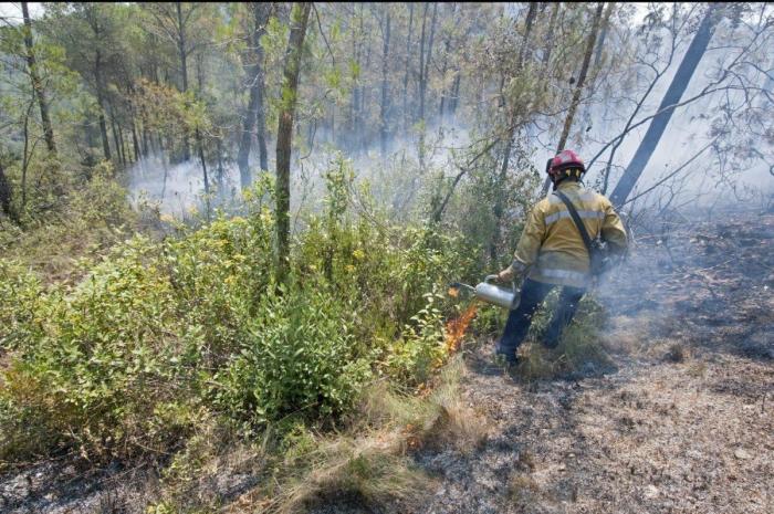 Incendio en Girona: el foco entre Terrades y Boadella, controlado